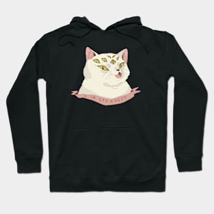 Very cute cat Hoodie